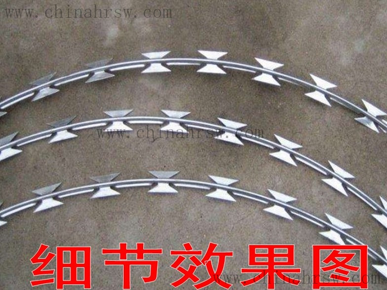 鐵蒺藜